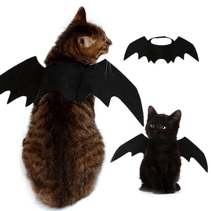 Cat Bat Wings