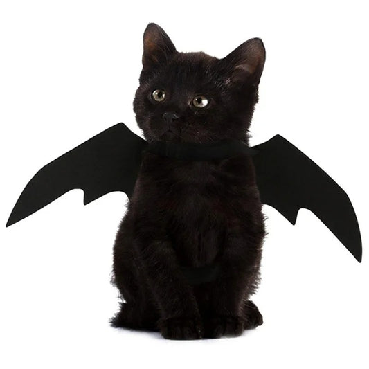 Cat Bat Wings