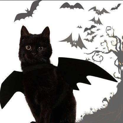 Cat Bat Wings